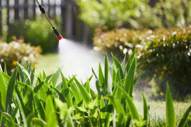 24/7 Emergency Mosquito Control experts in Platte, SD